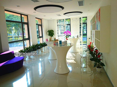 植物租賃 花卉綠植的租借與代管理服務