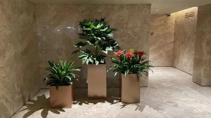 綠植與花卉租賃 便捷美化生活與辦公空間的明智選擇