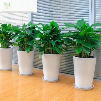 告別綠意 優化產品刪除頁，提升花卉綠植租借用戶體驗